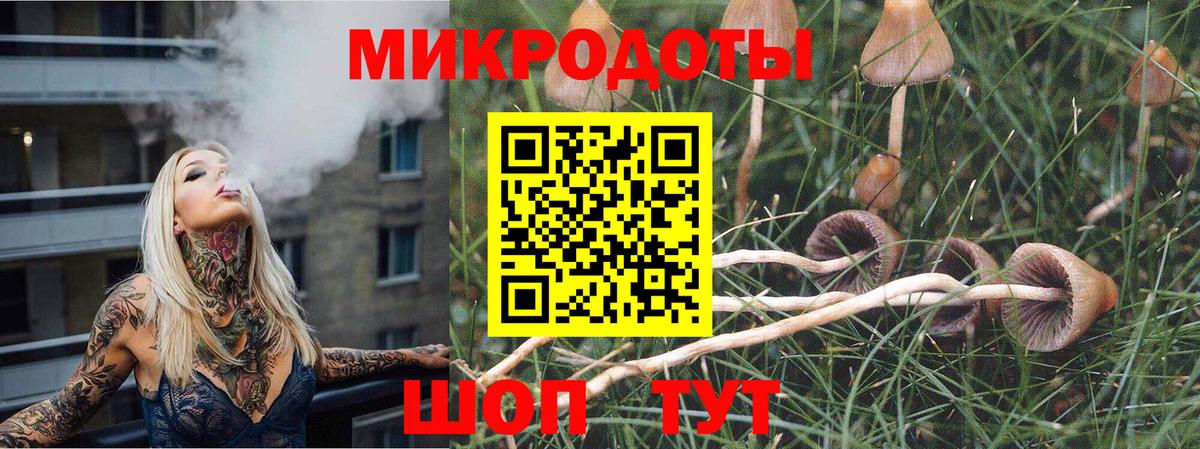 Псилоцибиновые грибы Psilocybe  Вход с VPN  Астрахань 